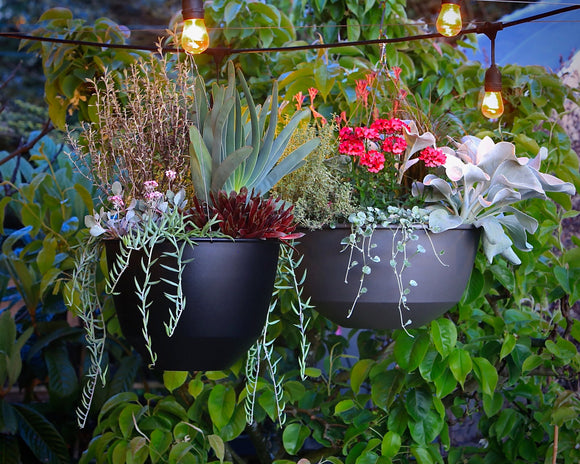 The Navio Hanging planters