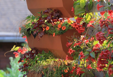 Leo Wall Planter 33"