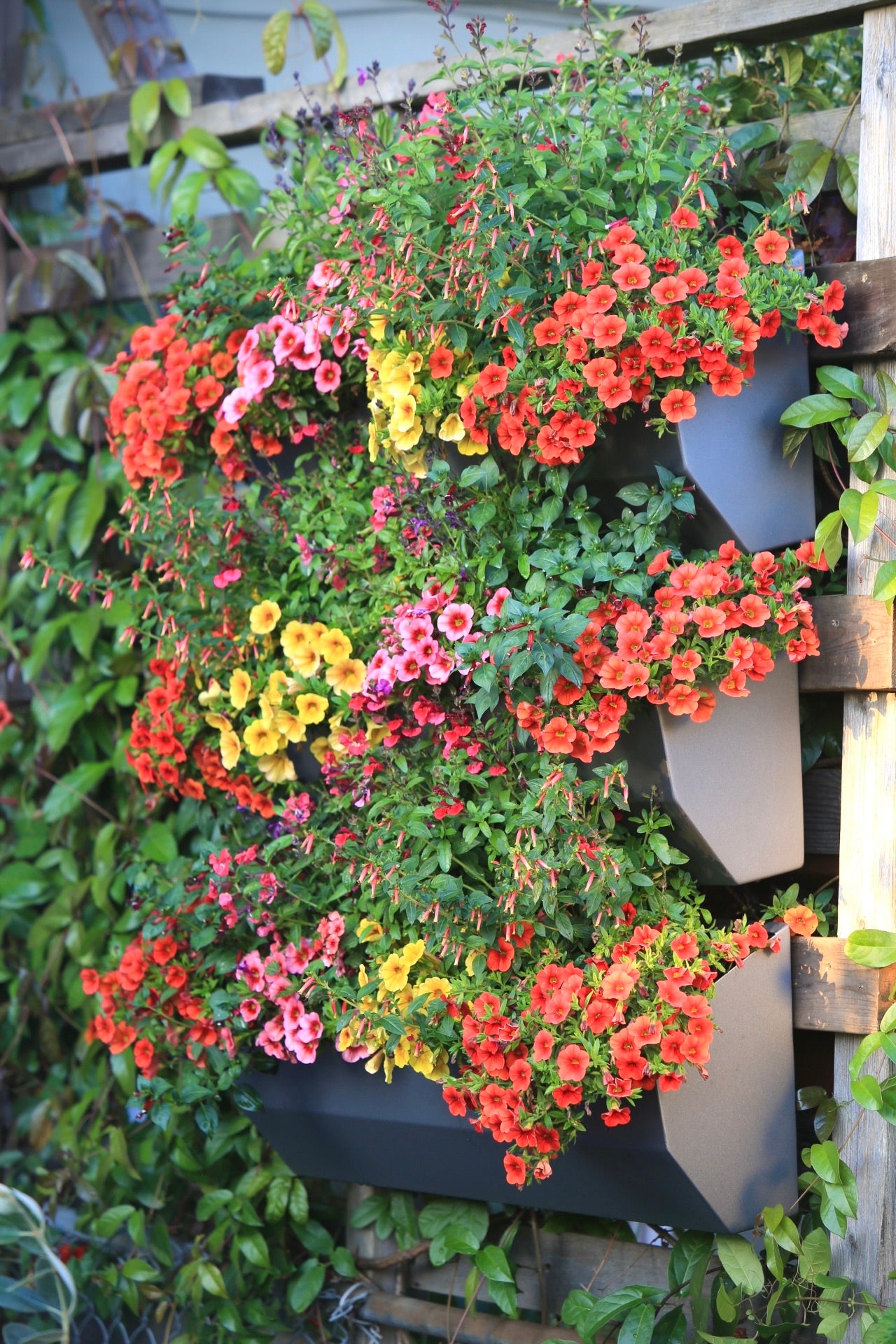 Leo Wall Planter 33"