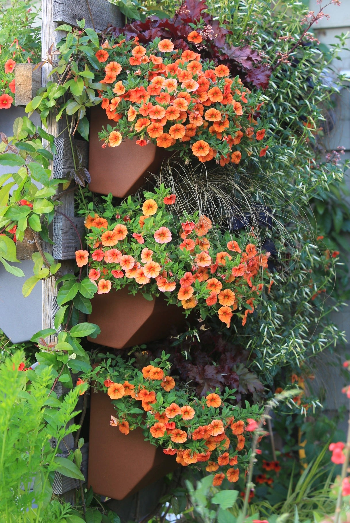 Leo Wall Planter 11"