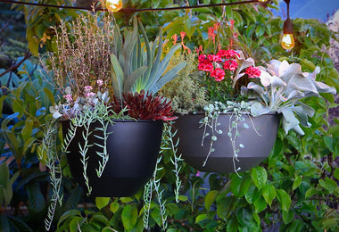 Navio Hanging Planter