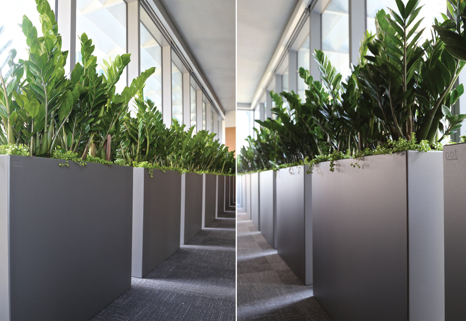 Bordo Dividing Planter