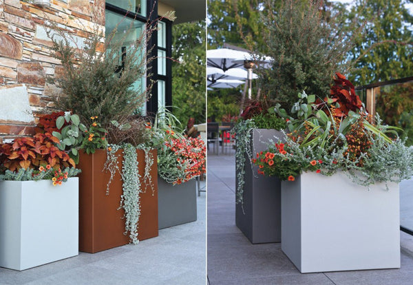 Cubo Planter
