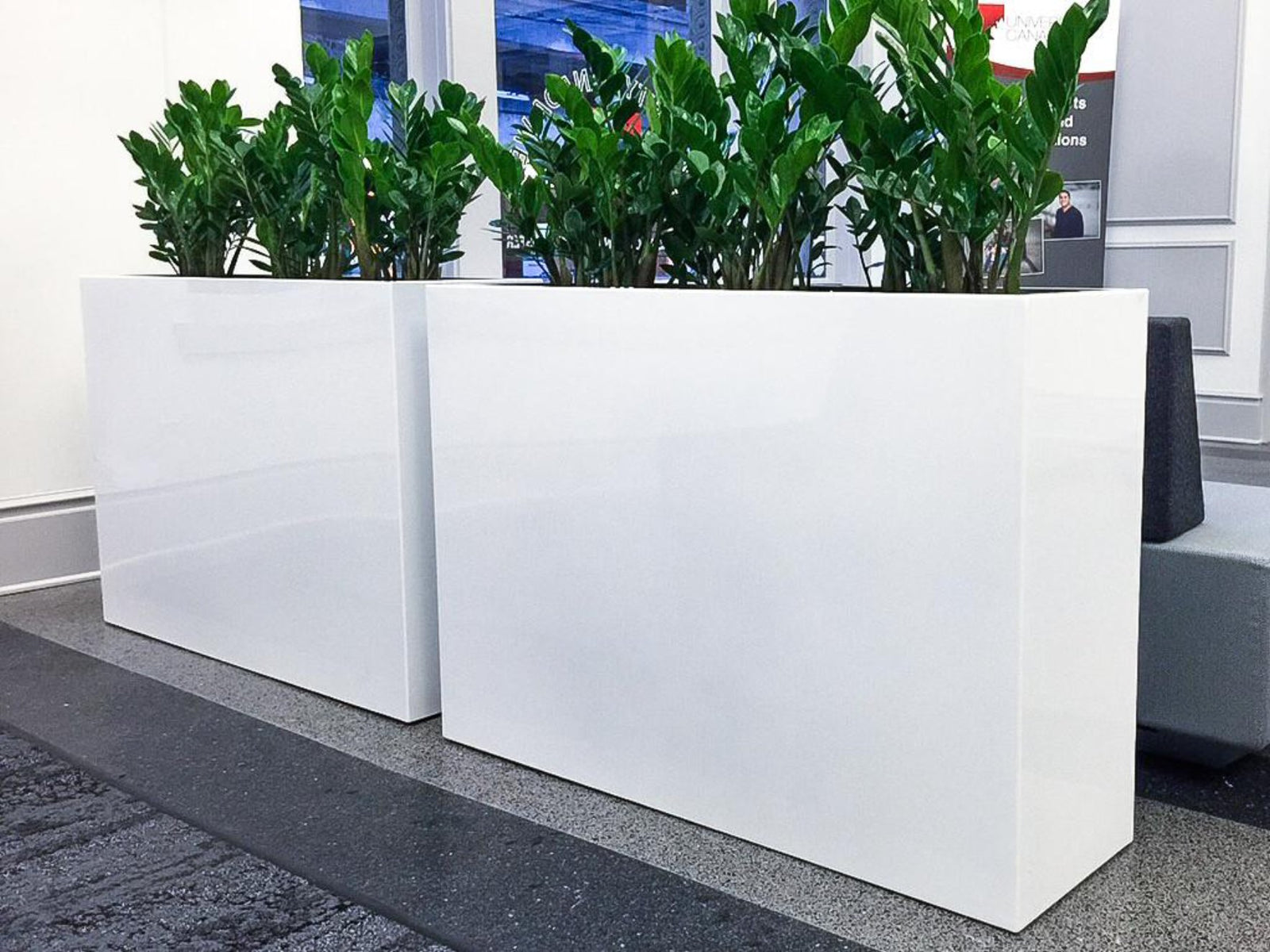 Bordo Dividing Planter