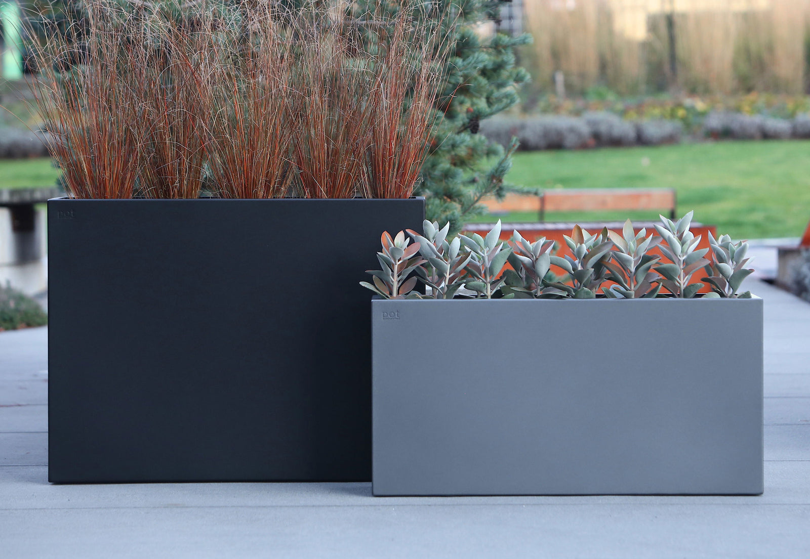 Bordo Dividing Planter