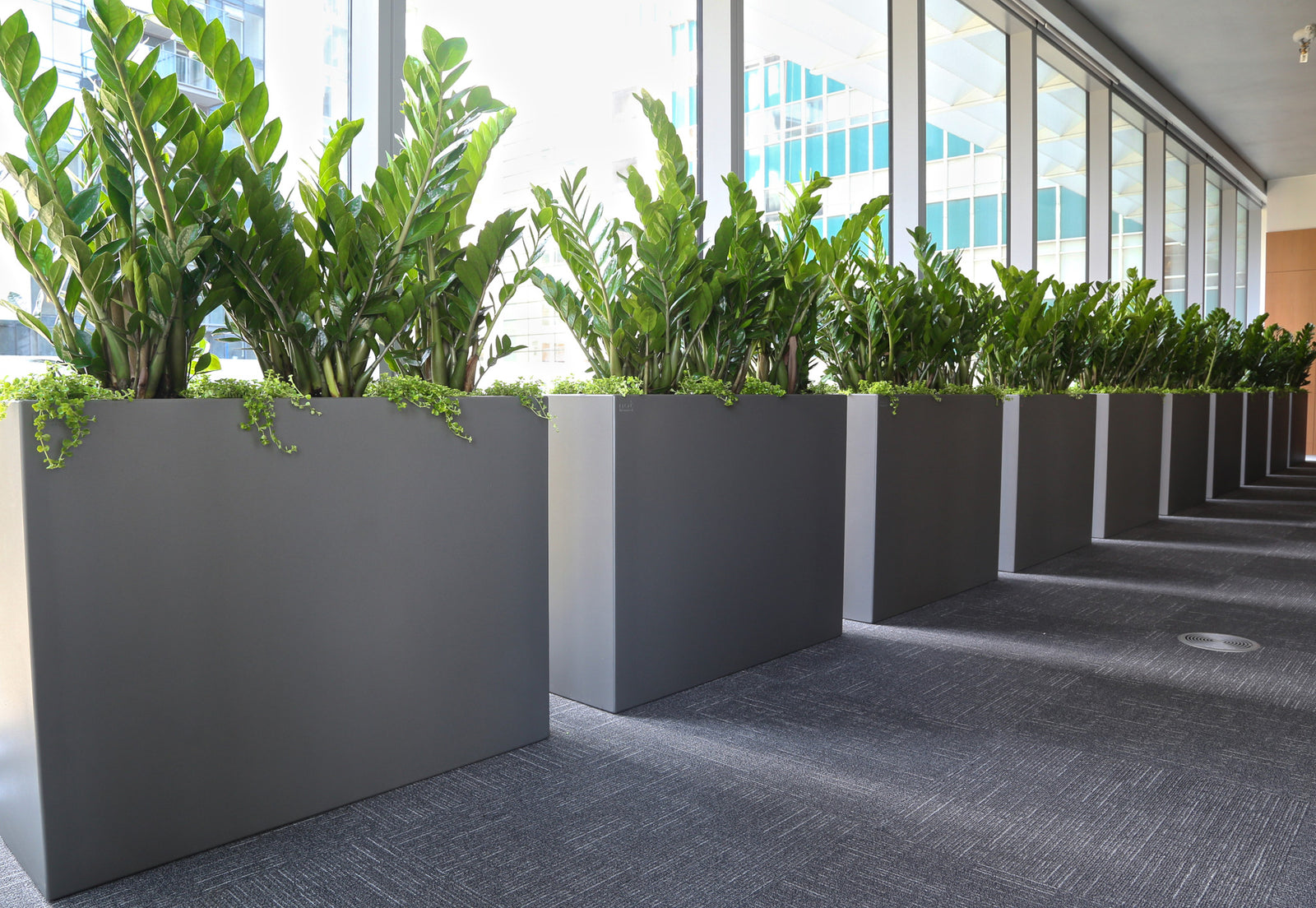 Bordo Dividing Planter