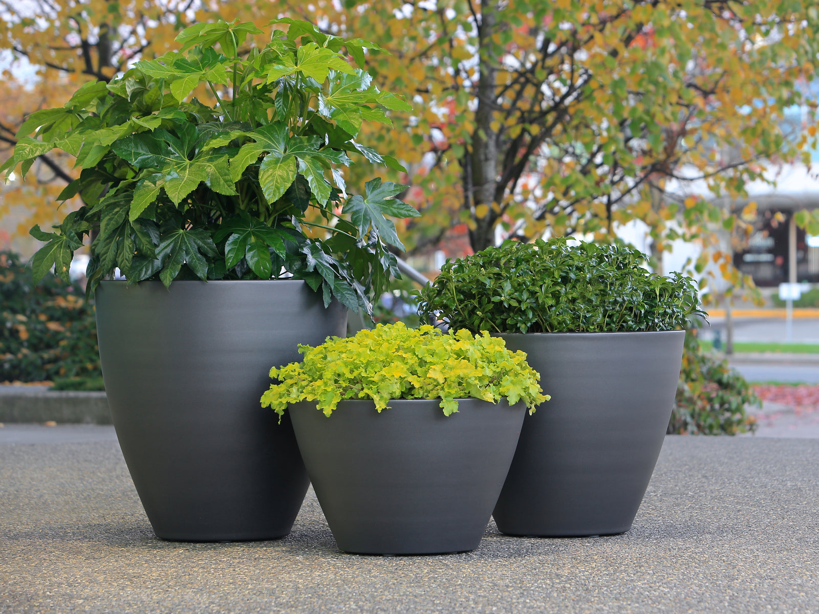 Pendero Wide Planter