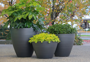 Pendero Wide Planter