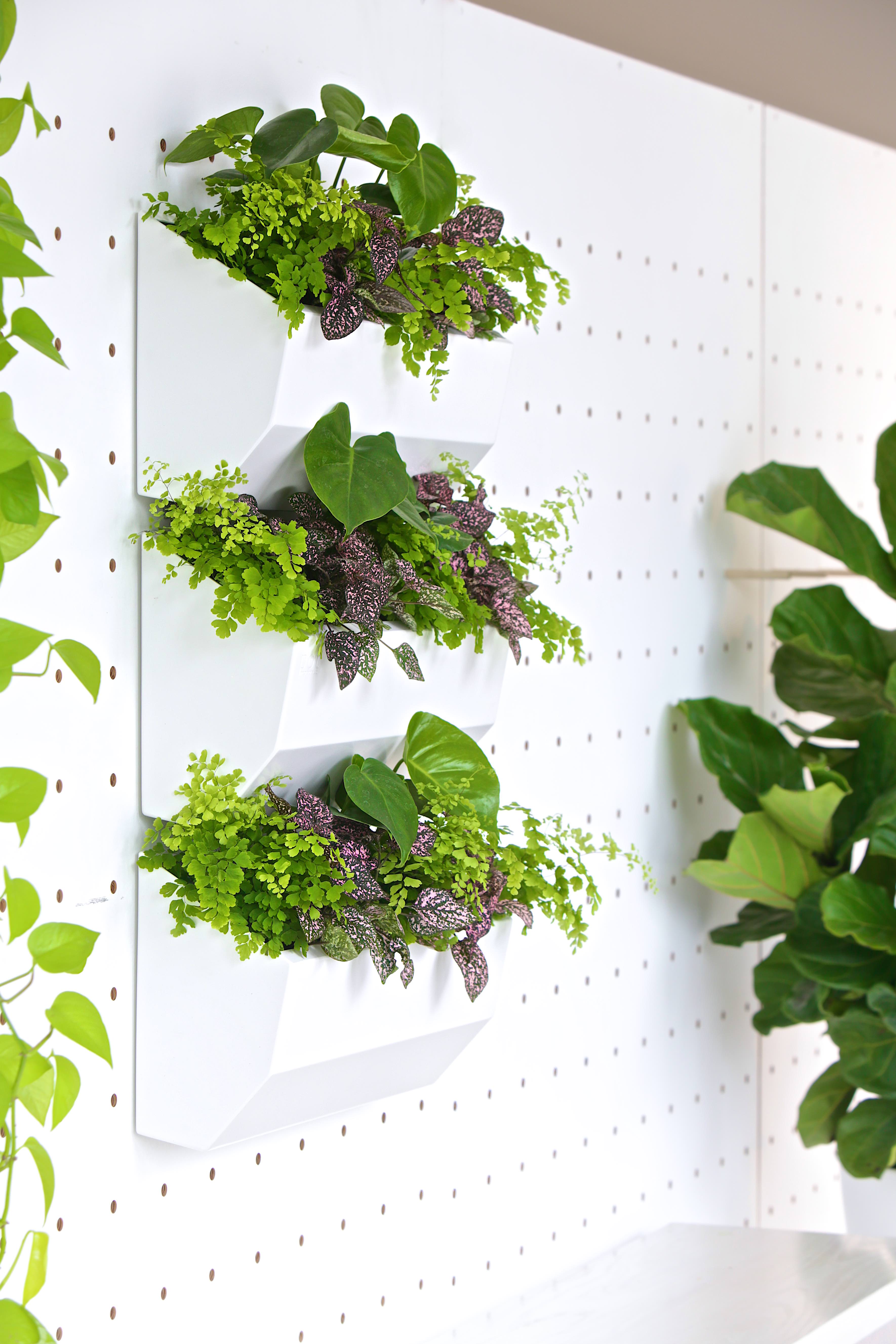 green wall plant pots Leo Wall Planter 11"
